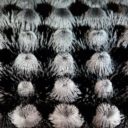 Sehr nahe Nahaufnahme einer Bürste